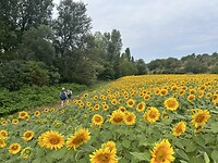 IMG_8638