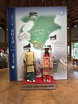 IMG_9398