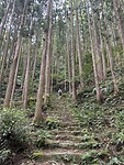 IMG_9524