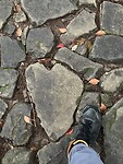 IMG_9560