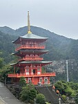 IMG_9559