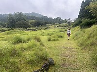 IMG_9539