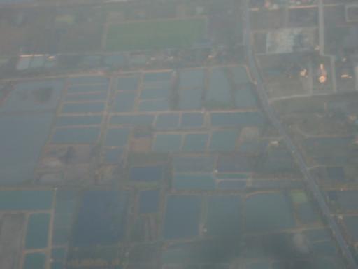 DSC00717