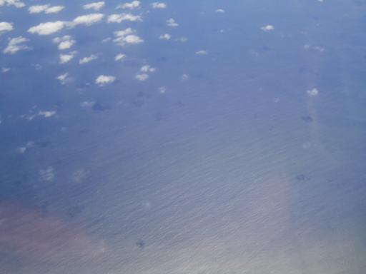 DSC00780