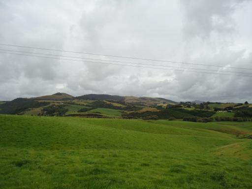 DSC01508