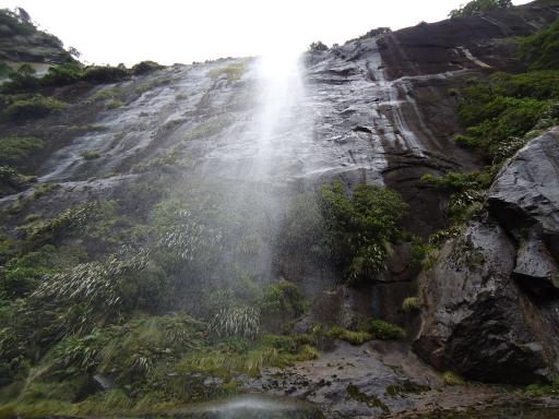 DSC01850