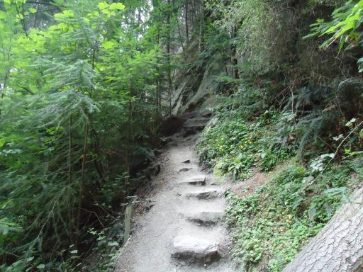 DSC02007
