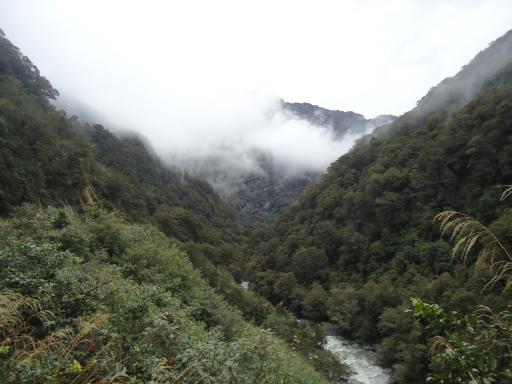 DSC02214
