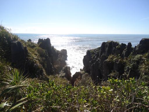 DSC02450