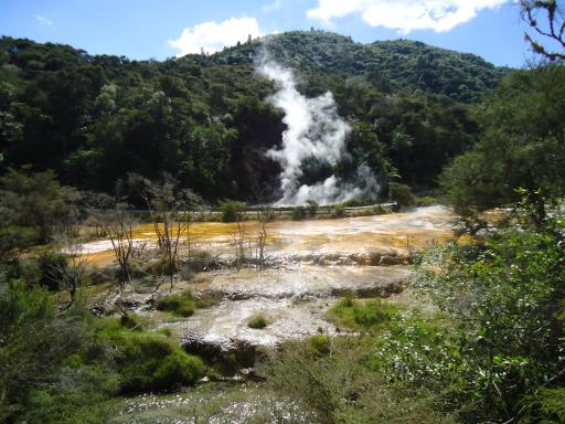 DSC03007
