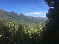 IMG_2118