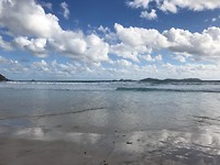 IMG_0323