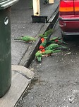IMG_0340