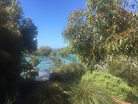 IMG_2806