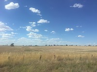 IMG_2850