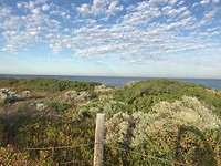 IMG_2996