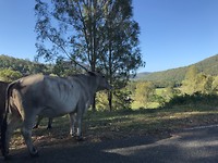 IMG_0834