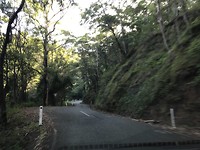 IMG_0839