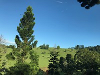 IMG_0848