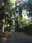 IMG_0852