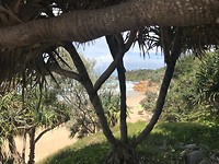 IMG_1007