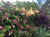 IMG_1046