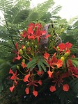 IMG_1047