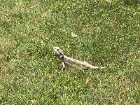 IMG_1073