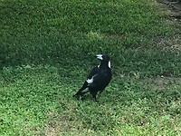 IMG_1076