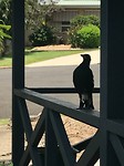 IMG_1079