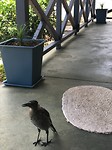 IMG_1080