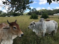 IMG_1600