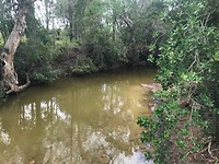IMG_1608