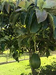 IMG_1662
