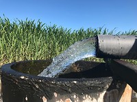 IMG_1665