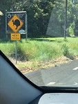 IMG_1713