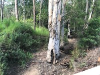 IMG_2050