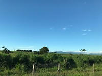 IMG_2082