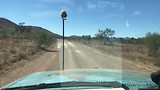 Jumping roo