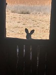 IMG_2604