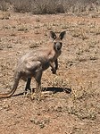 IMG_2611