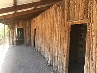 IMG_2613