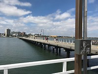 IMG_3225