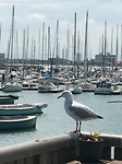 IMG_3230