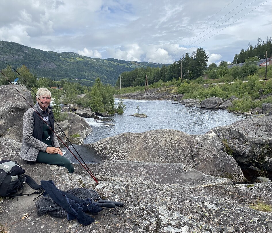 Hallingdalselva