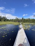 IMG_1176