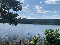 Mettjärn
