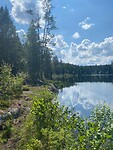 Högborstjärn