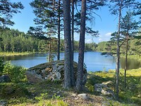 Lilla sandsjön
