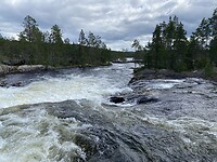 Forsaleden